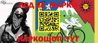 шишки Апшеронск