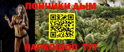 Альфа ПВП Аргун