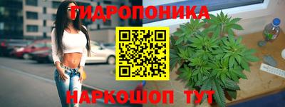 шишки Апшеронск