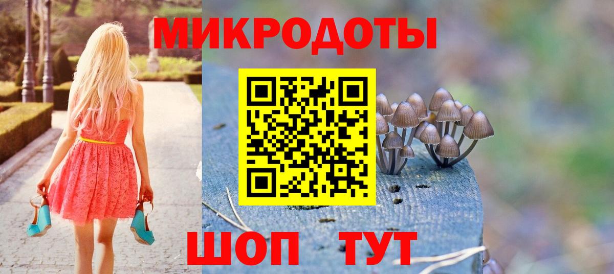 Аргун  Галлюциногенные грибы Psilocybine cubensis  Вход с VPN 